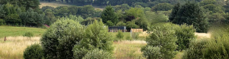 Container holiday home